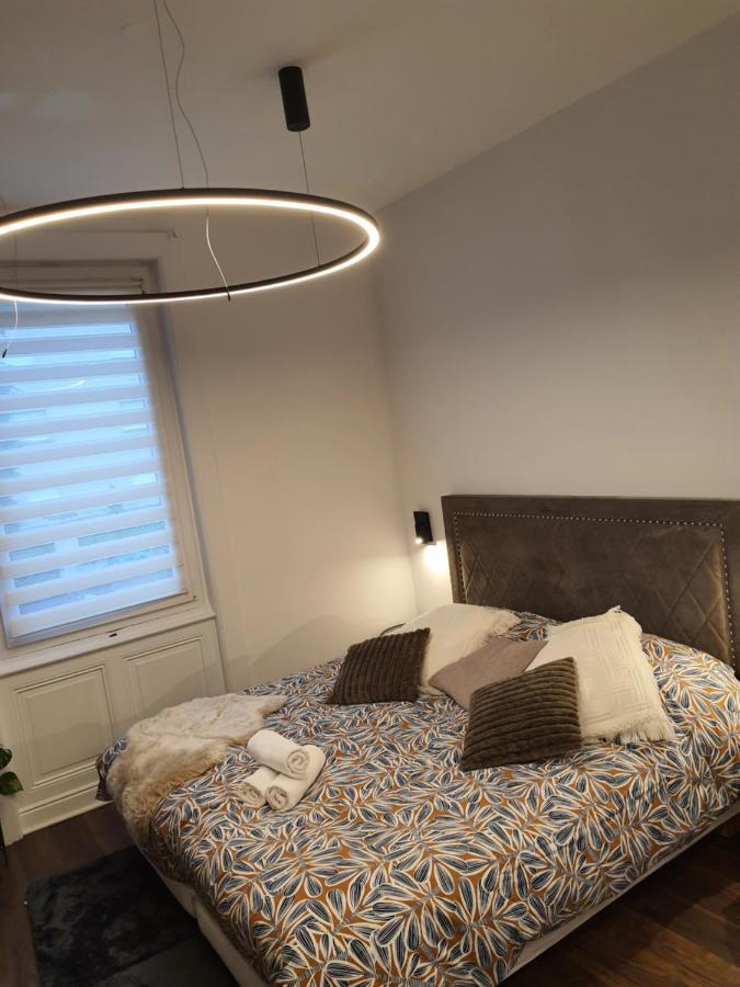 Hote Stephanois Studio, Parking& Borne Electrique سانت إتيان المظهر الخارجي الصورة