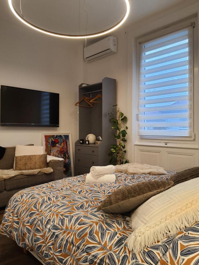 Hote Stephanois Studio, Parking& Borne Electrique سانت إتيان المظهر الخارجي الصورة