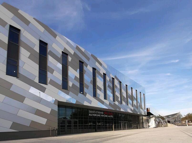 Hote Stephanois Studio, Parking& Borne Electrique سانت إتيان المظهر الخارجي الصورة
