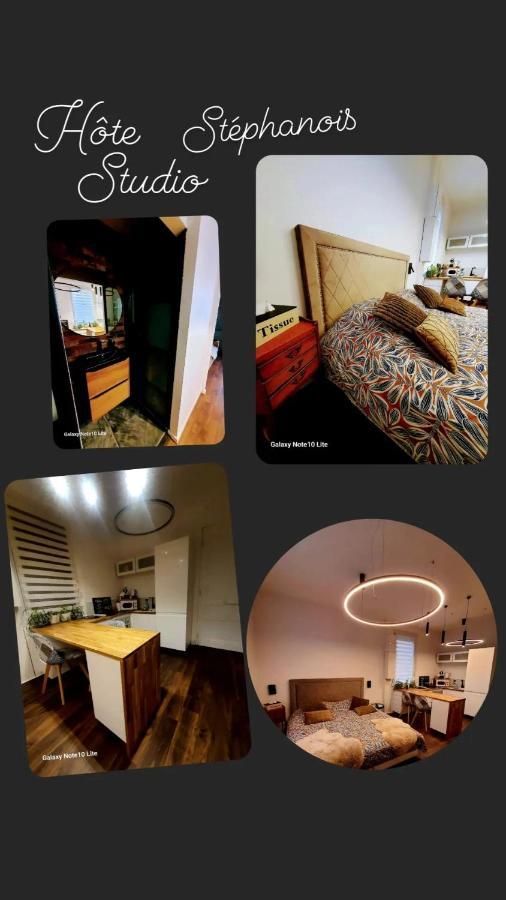 Hote Stephanois Studio, Parking& Borne Electrique سانت إتيان المظهر الخارجي الصورة