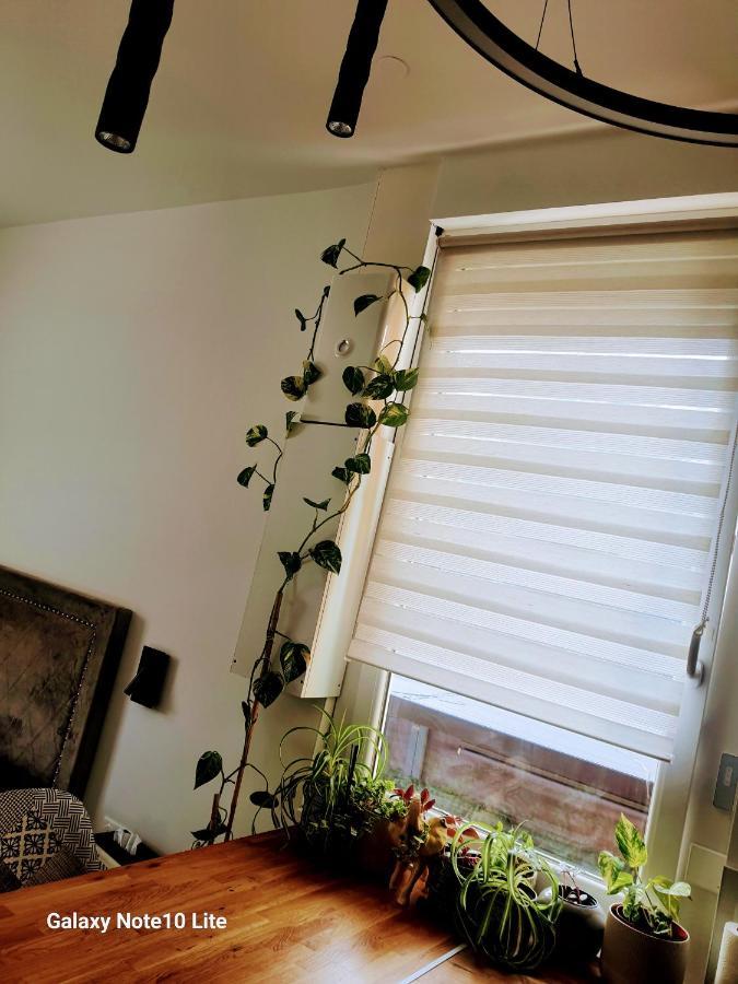 Hote Stephanois Studio, Parking& Borne Electrique سانت إتيان المظهر الخارجي الصورة